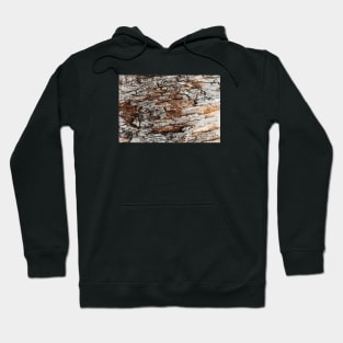 Rustic Orange & Brown Tree Trunk - Alternative Hoodie